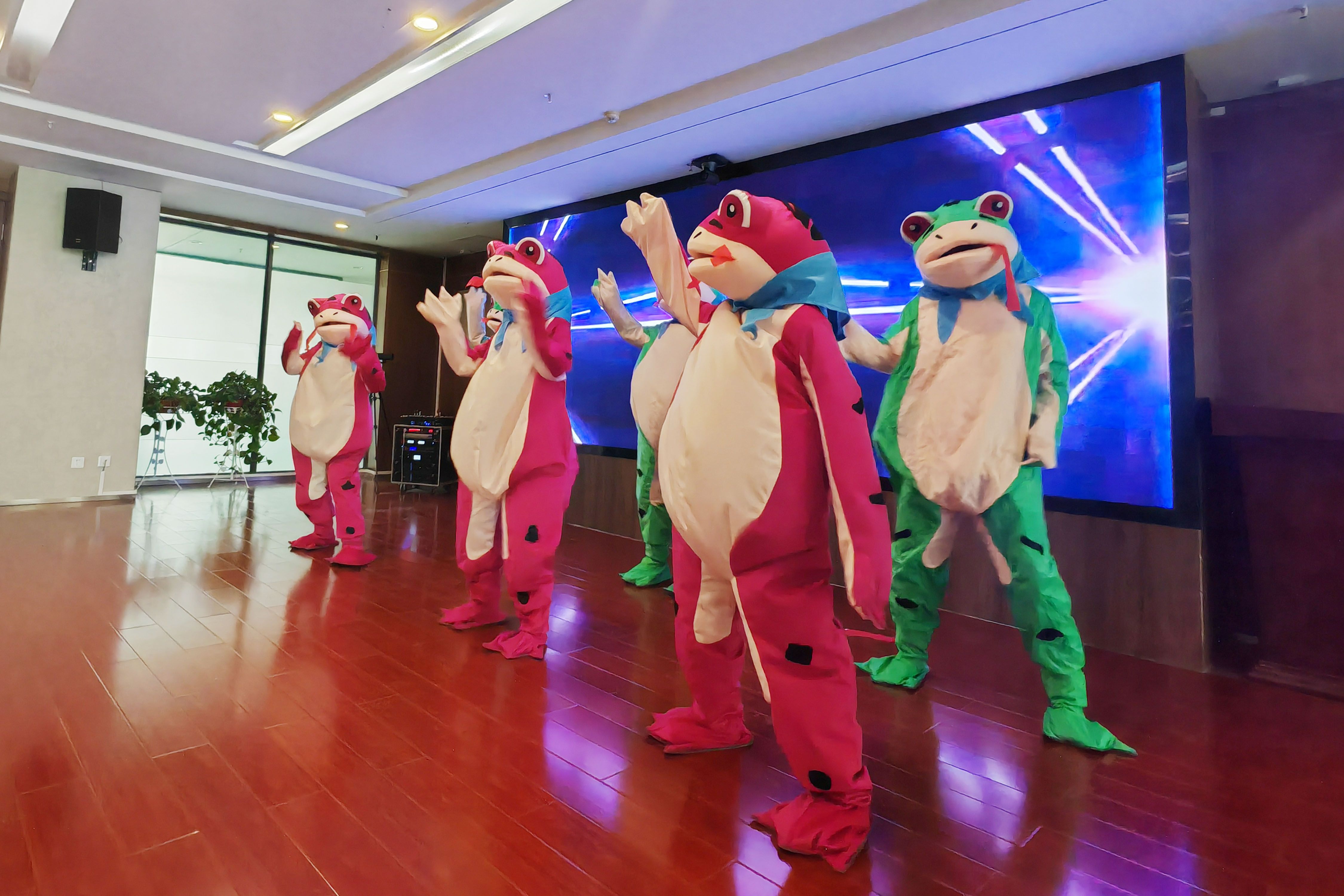 芮康.jpg